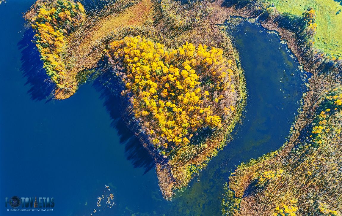 A heart-shaped forest on a peninsula in Lake Meduma