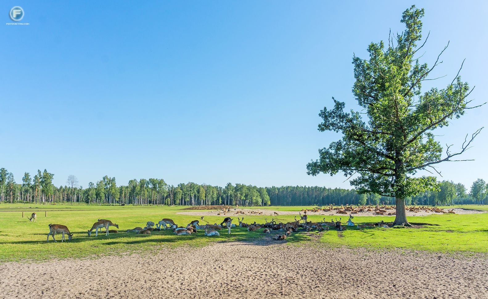 Briežu dārzs "Buku audzētava"