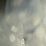 85mm and bokeh