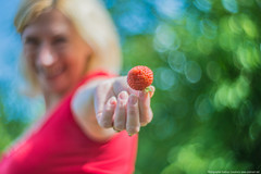 85mm and bokeh