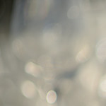85mm and bokeh